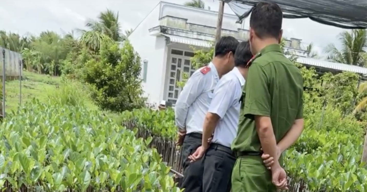 Read more about the article Từ vụ hỏi ‘chứng chỉ ghép cây’, sản xuất, kinh doanh cây giống cần điều kiện gì?