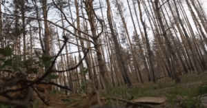 Read more about the article Video lính Nga vô hiệu hóa UAV Ukraine bằng một cây kéo 