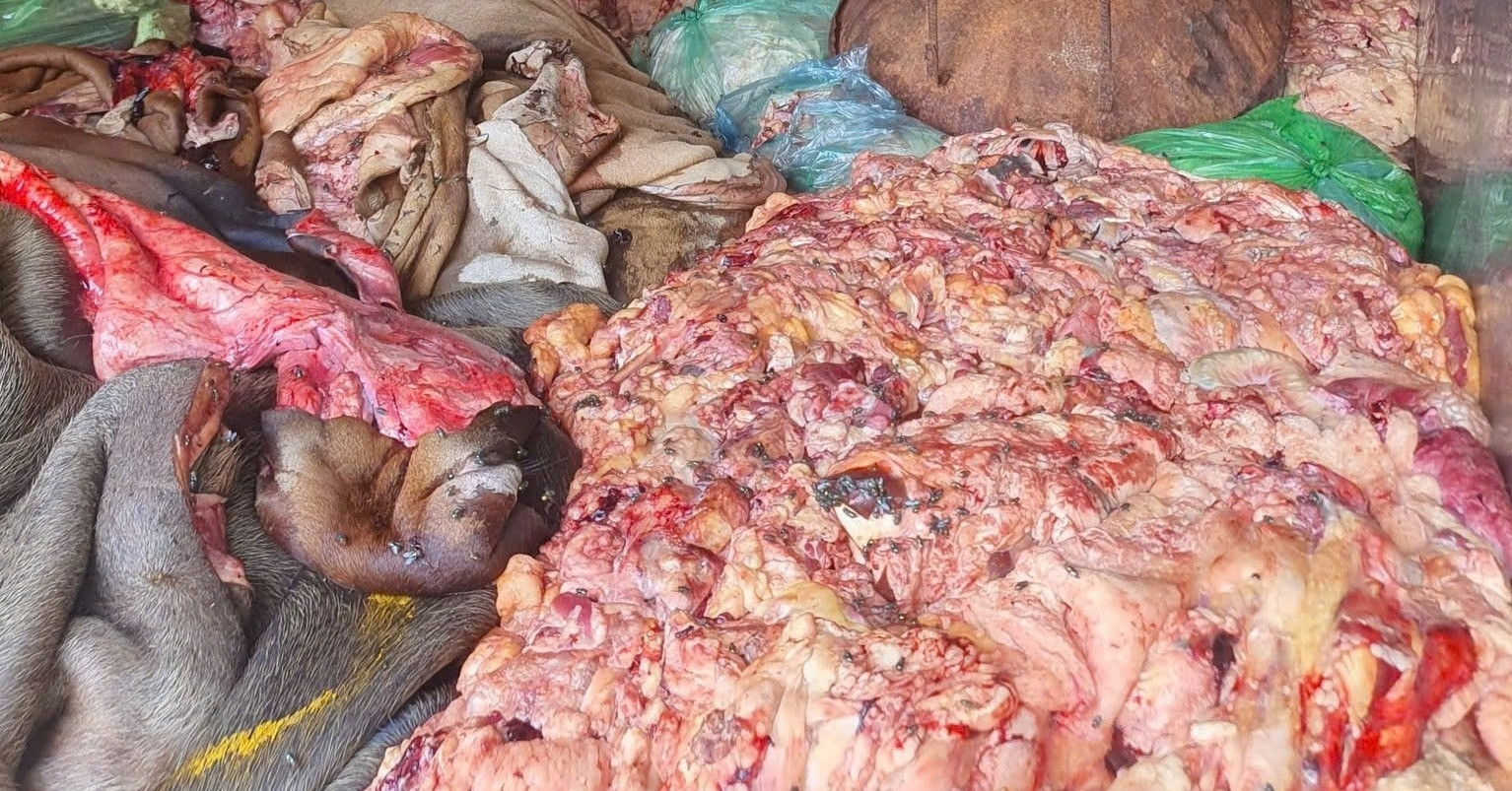 Read more about the article Tài xế khai chở đi bán