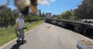 Read more about the article Xe tải lật, 250 triệu con ong ‘tấn công’ bang Washington